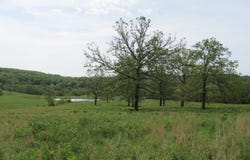 5944 Highway 74, Huntsville, AR 72740