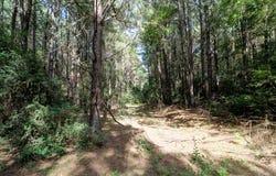 P38-54 Lake Point Passage, Douglass, TX 75943