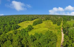 TBD CR 3100, San Augustine, TX 75972