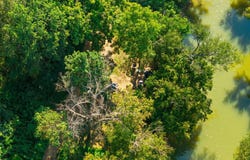 Old Mountain Ash Pike, Williamsburg, KY 40769