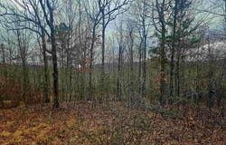 2726 Little Red River Road, Marshall, AR 72650