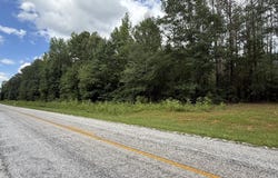 Tract 3 COUNTY ROAD 103, WOODLAND, AL 36280