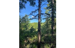 Tract 5 SE 1083  Road Ave, Red Oak, OK 74563