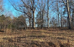 24 Wagon Creek Loop, Creal Springs, IL 62922