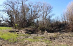 412 Park Ln, Bethel Island, CA 94511