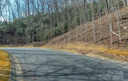 0 Shining Rock Path 12, Horse Shoe, NC 28742