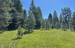 NHN S Shore Drive, Trout Creek, MT 59874