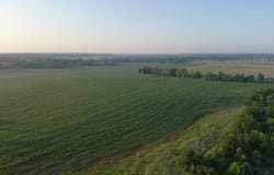 482nd Street, Centerville, IA 52544