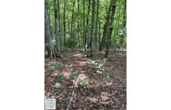 Duffey Lane, Stuart, VA 24171