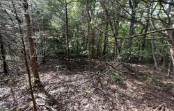 9909 Sassafras Drive, Hillsboro, MO 63016