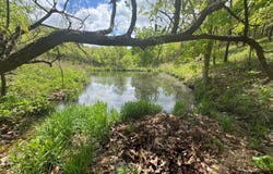 000 Osborn Bluff Road, Tunas, MO 65764