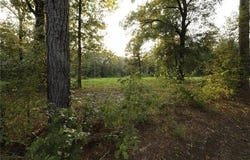 Hickory Grove Loop Lot 2 Road, Deville, LA 71328