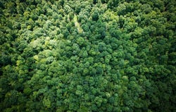 S Hurricane Creek Rd., Linden, TN 37096