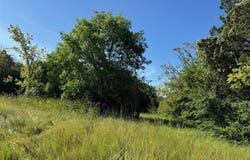 1156 Ridge Drive S, Cleburne, TX 76033