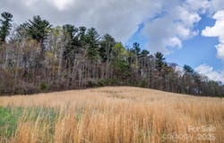Union Hill Road, Hendersonville, NC 28792