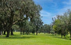 TBD SE 157TH STREET RD, SUMMERFIELD, FL 34491