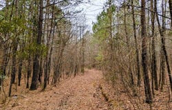 Mount Olivet Church lot: #8, Franklinton, NC 27525