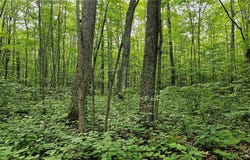 Lots 17-32 Indian Drive, Hayward, WI 54843