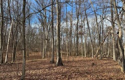 NESTLE QUARRY, FALLING WATERS, WV 25419