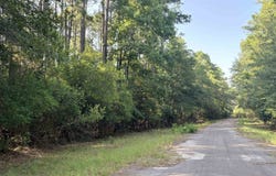 Silver Birch lot: 19, Village Mills, TX 77663