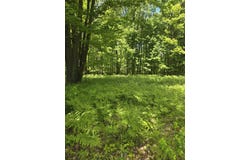 3873 W 136th Street, Grant, MI 49327