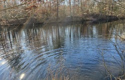 Rt. 206 & FORKED NECK RD, SHAMONG, NJ 08088