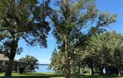 17483 64th St SW, Cokato, MN 55321