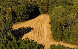 1295 Edwards Road, SARDIS, MS 38666