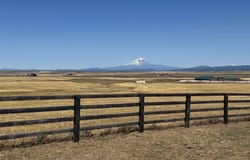 37 STRING STREET RD, Centerville, WA 98613