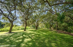 3665 Aurantia Road, Mims, FL 32754