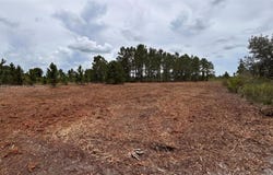 18121 NW 304 th st, Okeechobee, FL 34972