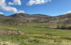 parcels at Pine Nut Creek area, Gardnerville, NV 89410