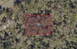 RIVER ROAD, ASTOR, FL 32102