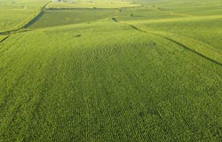 TBD Heiderscheit Rd, Guttenberg, IA 52052