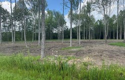 Gaskin Drive, Jamestown, KY 42629