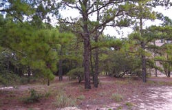 2327 False Cape Road lot: #14, Corolla, NC 27927