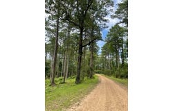 004 Carpenter St., Jena, LA 71342