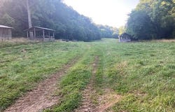 1  Black Branch Spur Rd., Burkesville, KY 42717