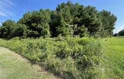 1349 Turnpike Road, Elizabeth City, NC 27909