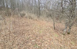0WP Bowbell Rd, Coventry, NY 13778