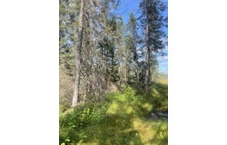 SWAMP ROAD, Tomahawk, WI 54487