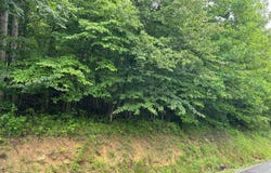 0 Alton Road, French Creek, WV 26218