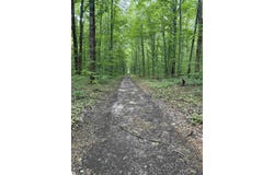 Parcel A Mancelona Road, Mancelona, MI 49659