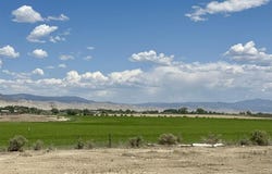 Highway 50, Olathe, CO 81425