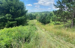 Horse Run Road, Bolivar, NY 14754