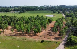 15938 Camp Newell Rd, Ozark, AR 72949