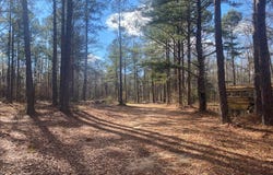 3481 County Rd 81, Abbeville, AL 36310