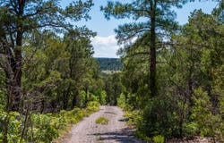 95 & 99 CAROLINO CANYON Road, Tijeras, NM 87059