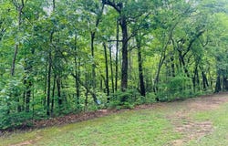 Lot 94 Doll Mountain, Ellijay, GA 30540