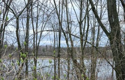 Tbd N Derby Road, Six Lakes, MI 48886